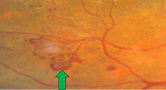 2025123009145207.png image.png